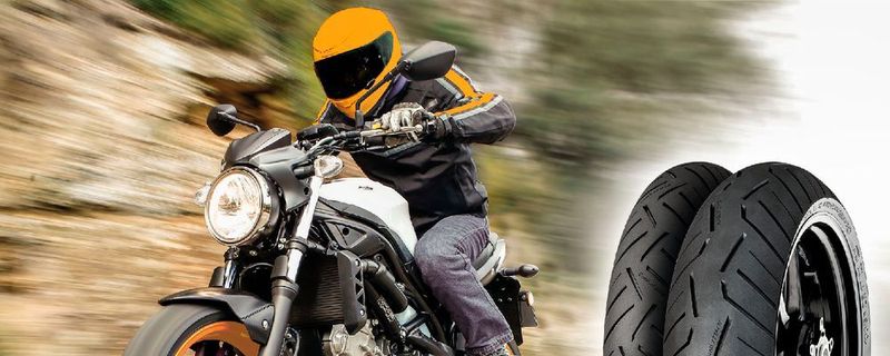 Allein für die Suzuki SV 650 gab es acht neue Reifenfreigaben.