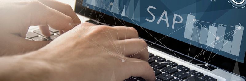 Mit der richtigen beziehungsweise falschen Transportsoftware kann der wirtschaftliche Erfolg in Betrieben stehen und fallen.