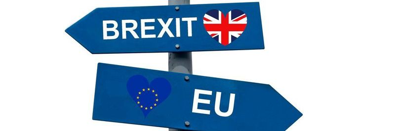 Brisantes Thema: Was passiert nach dem Brexit mit britischen .eu Domain-Namen?