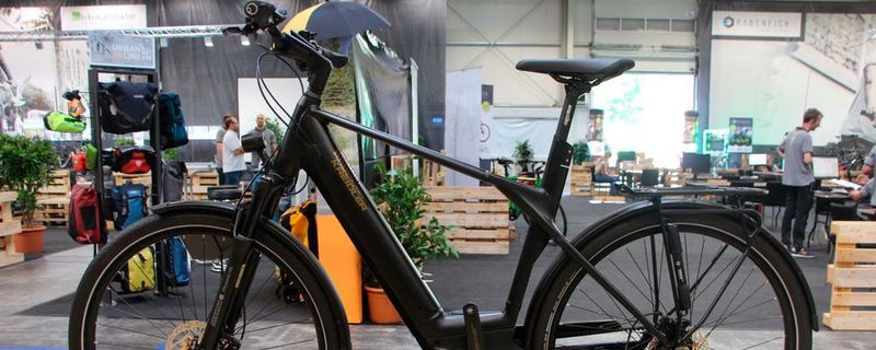 Das Kreidler Vitality Eco 20 kostet 3.800 Euro.