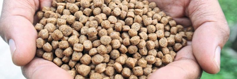 Egal ob Fischfutter oder Holzpellets, die Anlagen von Amandus Kahl produzieren weltweit unterschiedlichste Produkte für viele Industriezweige. Bei der Fernwartung setzt das Unternehmen auf eine Lösung von Wachendorff.