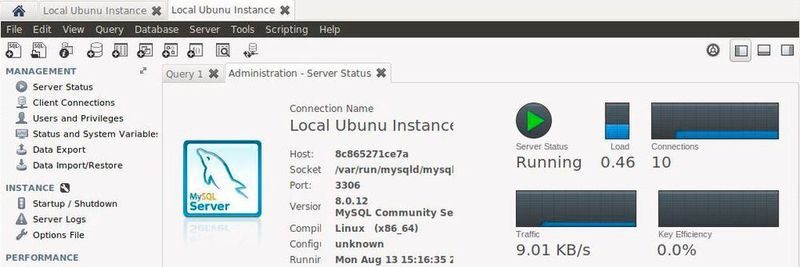 Hier spielen wir die Inbetriebnahme eines Docker-Containers mithilfe eines MySQL-Sever-Images durch.