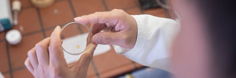 Wenn Tropfen eintrocknen, sammeln sich ihre Inhaltsstoffe in einem Ring.