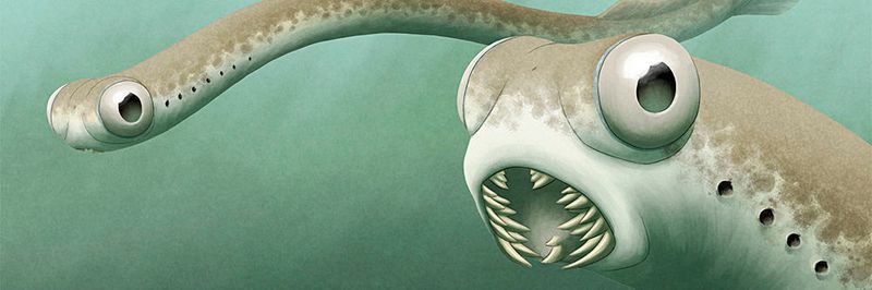 Künstlerische Darstellung von Conodonten