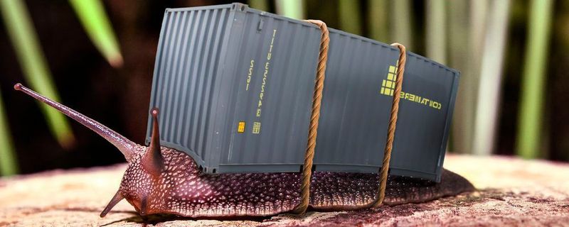 Unabhängig vom verwendeten Container-Image sollten Entwickler dem Anbieter vertrauen können, beispielsweise hinsichtlich einer schnellen Fehlerbehebung.