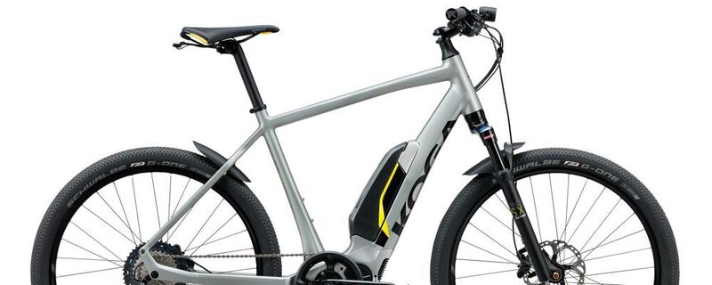 Für zirka 4.000 Euro wird man Besitzer des Koga Pace SX.