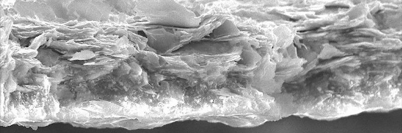 REM-Aufnahme einer Zinklamellenbeschichtung mit einer Schichtdicke von 20 µm.