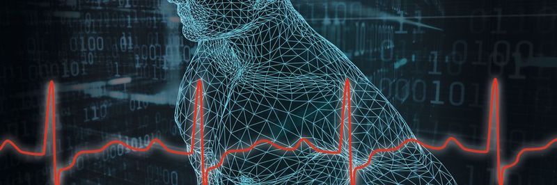 Die Digitalisierung revolutioniert die Medizin. Aber Augmented Reality, Internet of Things, Künstliche Intelligenz und Co. gibt es nicht zum Nulltarif.