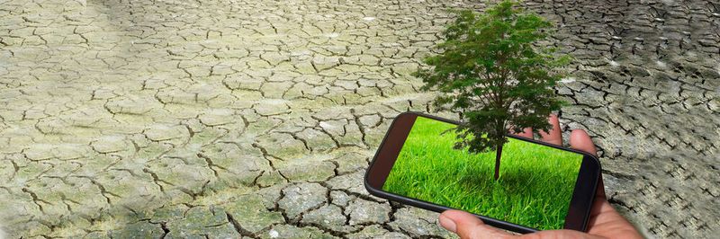 Smart Farming ist genau wie Smart Gardening ein Markt, der für IT-Dienstleister neue Chancen bietet.