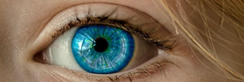 Alle fünf Sekunden schließen wir für kurze Zeit die Augen, wir blinzeln. Trotzdem wird es in dieser Zeit nicht ständig dunkel, wir sehen weiterhin ein stabiles Bild unserer Umwelt. (Symbolbild)