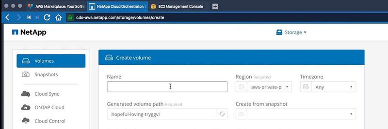 Netapp-Erfolg durch Cloud-Filemanagement mit Ontap-Technologie – hier die Benutzerschnittstelle von AWS Cloud Volumes.