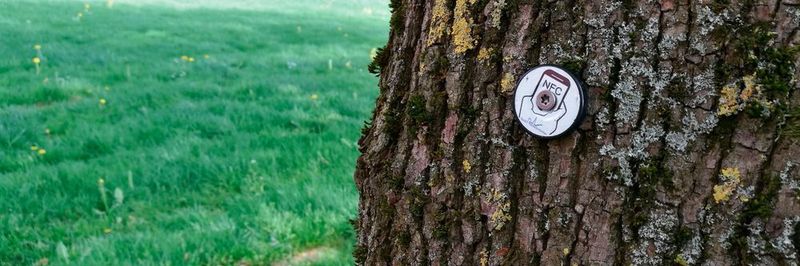 NFC-Chip an einem Baumstamm