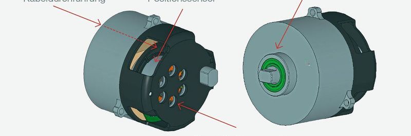 Für den Antrieb eines Roboter-Hüftgelenkes entwickelte Maxon Motor eine kundenspezifische Gesamtlösung.
