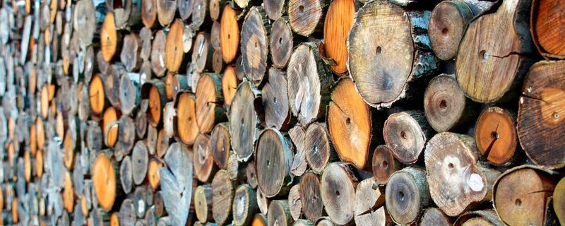 Holz ist ein beliebtes Diebesgut.