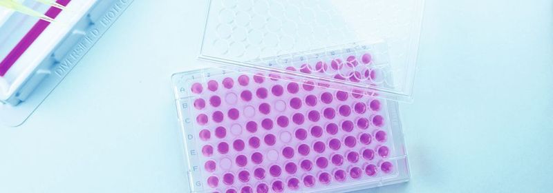 Abb. 1: Ungleichmäßige oder sehr lange Trockenzeiten sind bei Polypropylen-Mikrotiterplatten ein immer wieder auftretendes Problem.