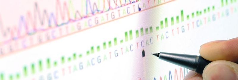 Abb. 1: In Zeiten von Big Data sind viele in den Lebenswissenschaften erhobene Daten wie Sequenzinformationen kaum noch „per Hand“ auszuwerten. Hochkomplexe Softwareprogramme helfen, sind jedoch nicht leicht zu bedienen.