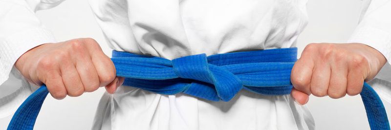 Vier „Gürtel“ gibt es im Dojo-Trainingsprogramm von Extreme Networks.