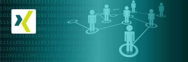 Viele deutschsprachige Geschäftsleute nutzen das Business-Netzwerk Xing um berufliche Netzwerke aufzubauen. Das macht Xing-Accounts auch für Cyberkriminelle interessant.