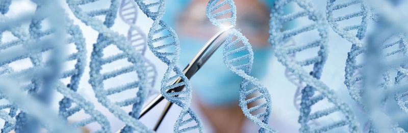 Die so genannte Genschere CRISPR-Cas9 weckt in der Gentherapie große Hoffnungen, Erbkrankheiten auf molekularbiologischer Ebene behandeln zu können. (Symbolbild)
