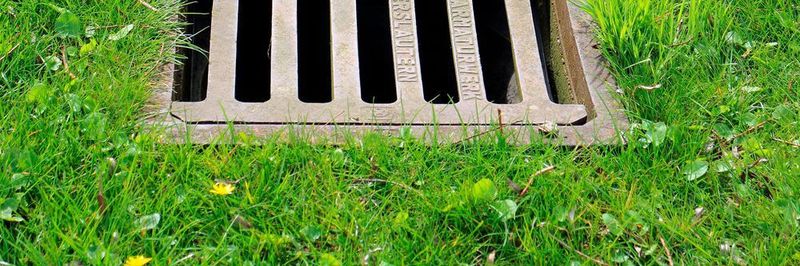 Mit der Verwendung von verschiedenen Abwässern, niedrigen Wasserstoff-Herstellungskosten und reduzierten Emissionen kann die neue Plasmalyse-Technologie einen Beitrag für die Verkehrswende leisten.