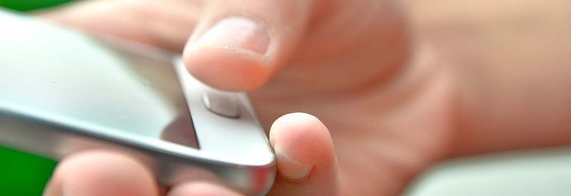Die erweiterte BfR-App „Vergiftungsunfälle bei Kindern“ liefert rasche Informationen über Giftpflanzen. (Symbolbild)
