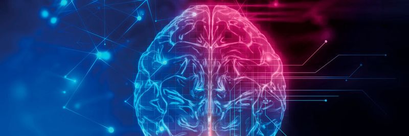 Die Studie im Auftrag von Tech Data zeigt, dass besonders Machine Learning als Innovationsmotor von Bedeutung ist, wenn es um die Digitalisierung geht.