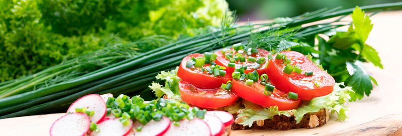 Antibiotikaresistente Keime: Können Rohkost und Salat ein Gesundheitsrisiko sein?