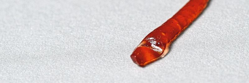 Regenwürmer sind immer sauber, selbst wenn sie aus noch so feuchter, klebriger Erde kommen – das soll der künstliche Wurm auch können.