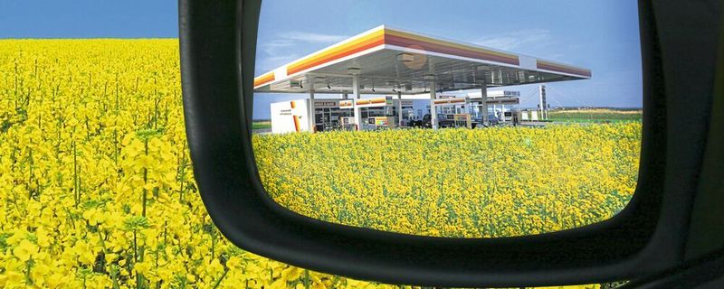 Das EU-Parlament hat das Aus für die umstrittenen Biokraftstoffe der ersten Generation beschlossen.