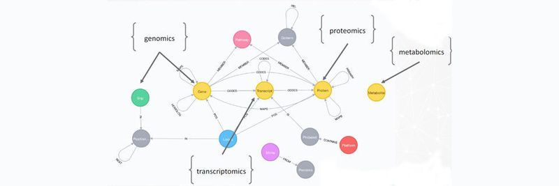 Dieses von Knowing Health mit Neo4j entwickeltes Graphmodell der Zelle wird vom Deutschen Zentrum für Diabetes für seine Forschung genutzt.