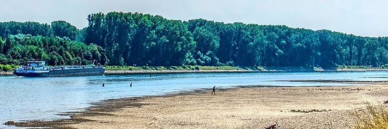 Das Niedrigwasser im Rhein macht vielen Industrieunternehmen zu schaffen. Die BASF muss in Ludwigshafen ihre TDI-Produktion aufgrund fehlender Rohstoffe herunterfahren.