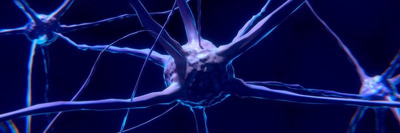 Memristive Bauteile aus Nanodraht könnten den Weg zu einem „neuromorphen“ Prozessore freimachen, der die vielfältigen Funktionen biologischer Synapsen und Neuronen übernehmen kann.