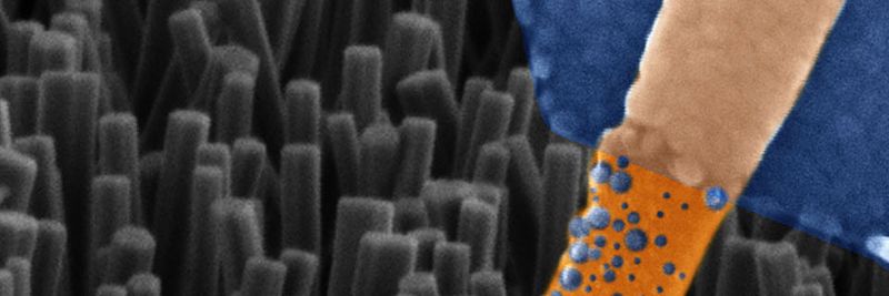 Elektronenmikroskopische Aufnahme eines einzelnen Nanodraht-Memristors.