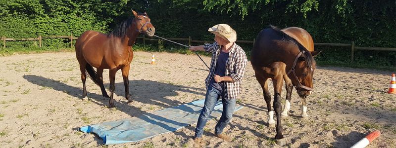 Wer führt hier wen? Legato zeigt deutlich seine reaktion auf das Führungsverhalten des Managers.