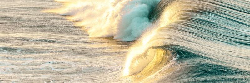 Eine Welle wie die Digitalisierung kann man als unabwendbares Naturereignis verstehen - oder man versucht sie zu surfen.