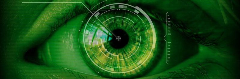 Da sie einzigartig ist, eignet sich die Iris des menschlichen Auges sehr gut als Biometrie-Merkmal. Außerdem ist das Aussehen der Iris stabil. Moderne Smartphones verfügen bereits über Iris-Scanner.