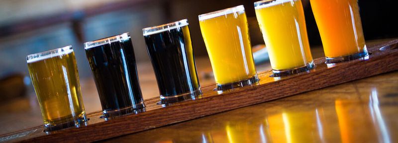 Dank ihres kräftigen Hopfenaromas erfreuen sich Craft-Biere zunehmender Beliebtheit. Damit der typische Aromastoff erhalten bleibt, sollte das Bier kühl gelagert und frisch genossen werden.