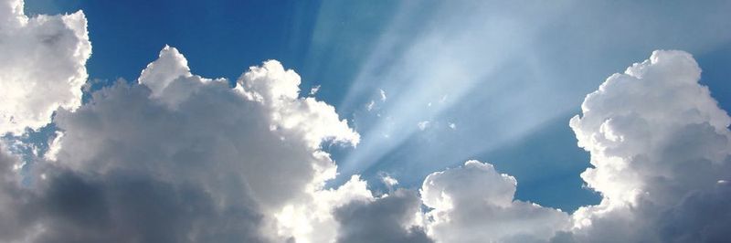 Behörden verlagern zunehmend ihre Dienste in die Wolke