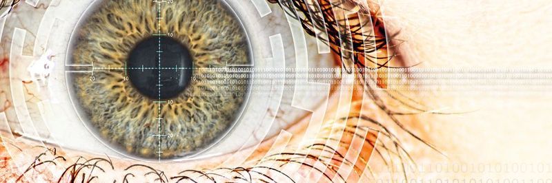 Es kommt immer häufiger vor, dass Regierungen oder ganze Staaten zum Ziel von Cyberkriminalität werden