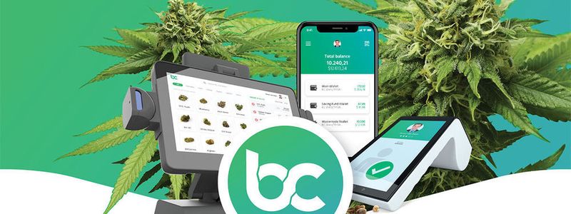 Der Start des öffentlichen Verkaufs von „Bitcanna“ mit einer Laufzeit von 7,5 Monaten war am 15. November 2018.