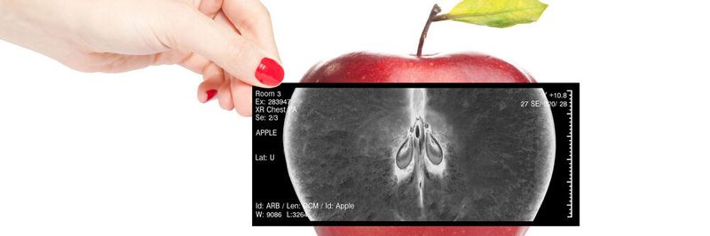 Auch Apple-Geräte müssen verwaltet werden.