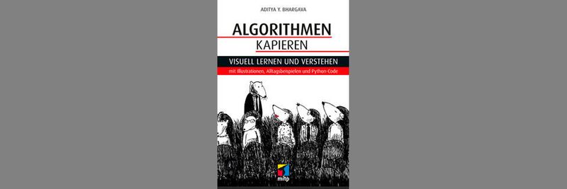 Das rund 270-seitige Werk von Aditya Y. Bhargava richtet sich an absolute Programmierlaien.