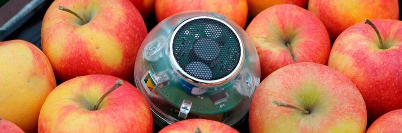 Die Respirationsmesskugel - sie ist ungefähr so groß wie ein Apfel - eignet sich für den mobilen Einsatz im Obstlager.