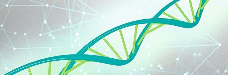 Single Pair Ethernet unterstützt den Trend zu kompakten, dezentralen Geräten in der industriellen Automatisierung – kann also anwendungsneutral zur DNA des Industrial Internet of Things (IIoT) werden.