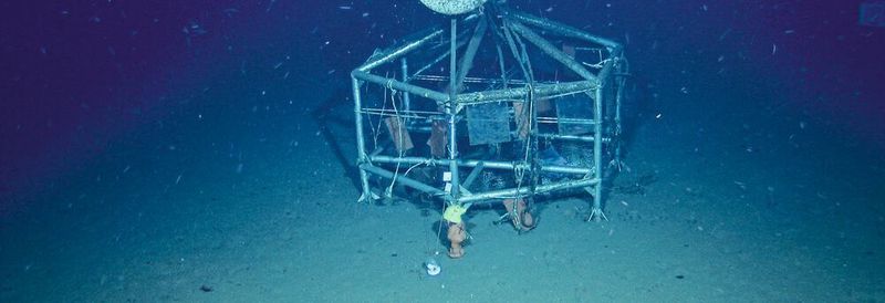 Besiedlungsexperiment arktische Tiefsee
