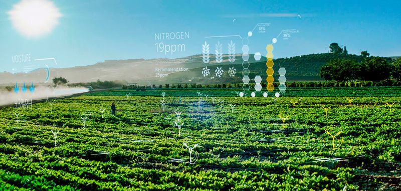 Microsoft's 'Farmbeats'-Technologie nutzt Künstliche Intelligenz und die Cloud, um landwirtschaftliche Produktivität zu steigern. Seit dem Windows 10 Update vom Oktober 2018 können Entwickler ihre KI-Modelle in der Cloud trainieren, um sie anschießend dann auf einem Windows 10-Gerät auf dem neuesten Stand der KI-Technik zu evaluieren.