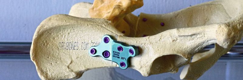 Beim Fräsen von Implantaten für die Veterinärmedizin kamen nach intensiven Tests, Fräswerkzeuge von M.A. Ford zum Einsatz und konnten in Titan mit einem ausgezeichneten Kosten-Nutzen-Verhältnis überzeugen.