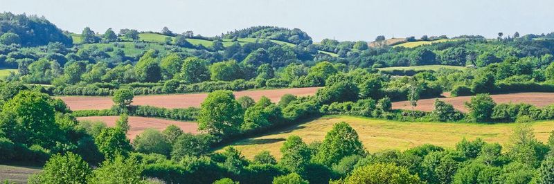 Die Knick-Hügel-Landschaft in Schleswig-Holstein wird digitalisiert. Der ländliche Raum birgt viele Potenziale zur Umsetzung digitaler Angebote