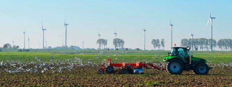 Den Kreislauf zwischen Energieerzeugung, Rechenleistung und Kohlendioxidverbrauch schließt bei Windcloud Pflanzenbau