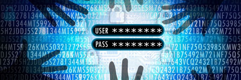 Speziell bei Online-Behördengängen haben die Deutschen Angst vor Datenklau.